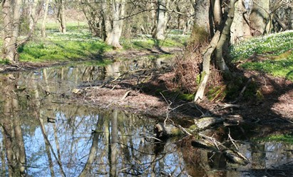 Vid B&ouml;da Skans i B&ouml;da
