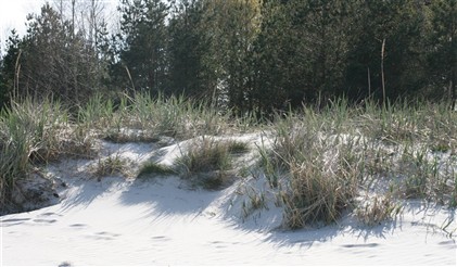 Sandstranden i B&ouml;da