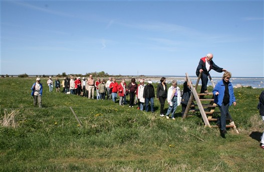 Guidad tur, &ouml;ver en st&auml;tta, 2008